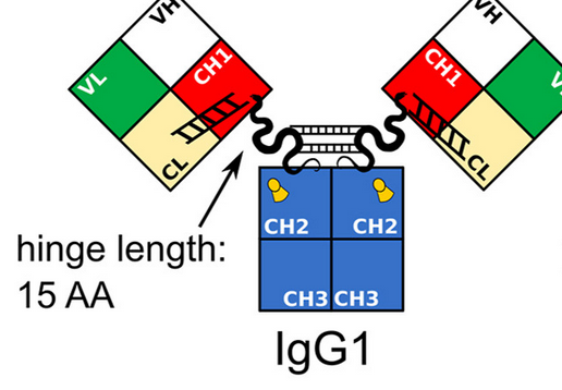 image-center